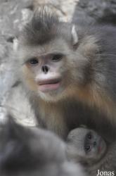 Beijing Zoological Gardens