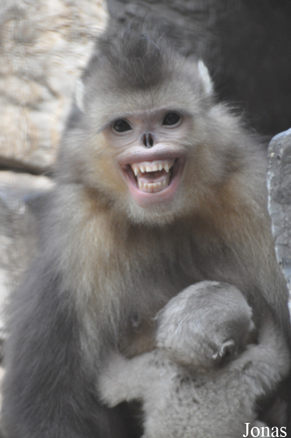 Beijing Zoological Gardens