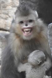 Beijing Zoological Gardens