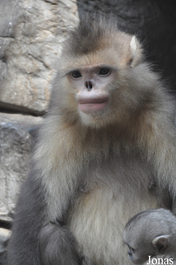 Beijing Zoological Gardens
