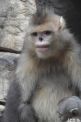 Beijing Zoological Gardens