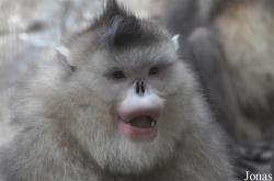 Beijing Zoological Gardens