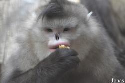 Beijing Zoological Gardens