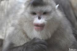 Beijing Zoological Gardens