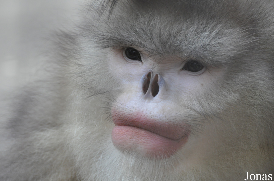 Beijing Zoological Gardens