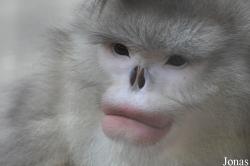 Beijing Zoological Gardens