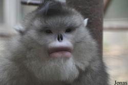 Beijing Zoological Gardens