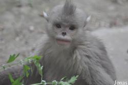 Beijing Zoological Gardens