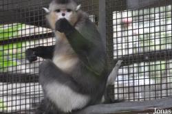 Beijing Zoological Gardens