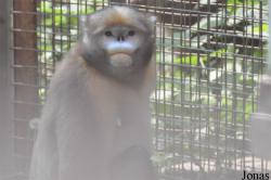 Beijing Zoological Gardens