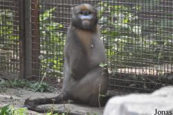 Beijing Zoological Gardens