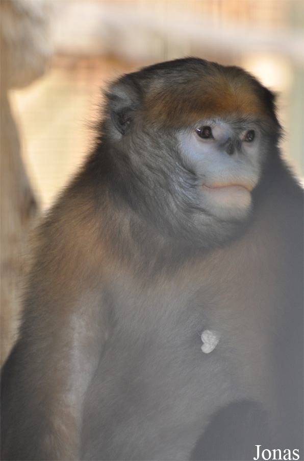 Beijing Zoological Gardens