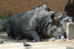 Jardim Zoológico de Lisboa