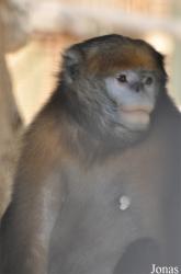 Beijing Zoological Gardens
