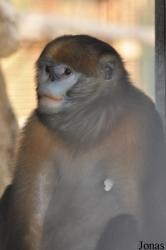 Beijing Zoological Gardens