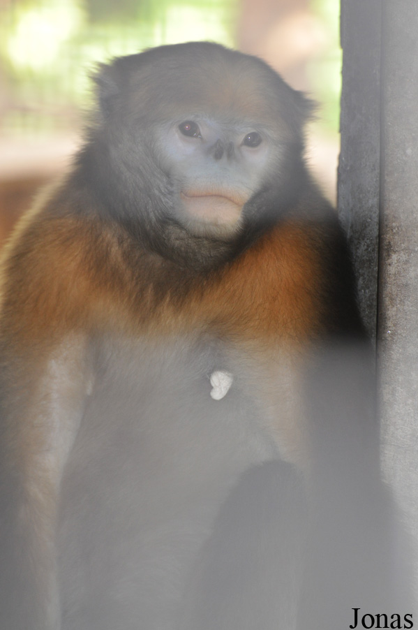 Beijing Zoological Gardens