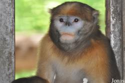 Beijing Zoological Gardens