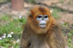 Beijing Zoological Gardens