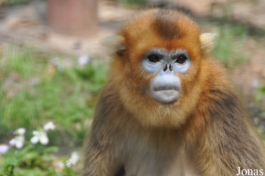 Beijing Zoological Gardens