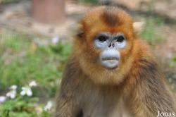 Beijing Zoological Gardens