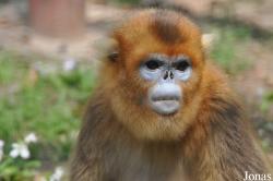 Beijing Zoological Gardens