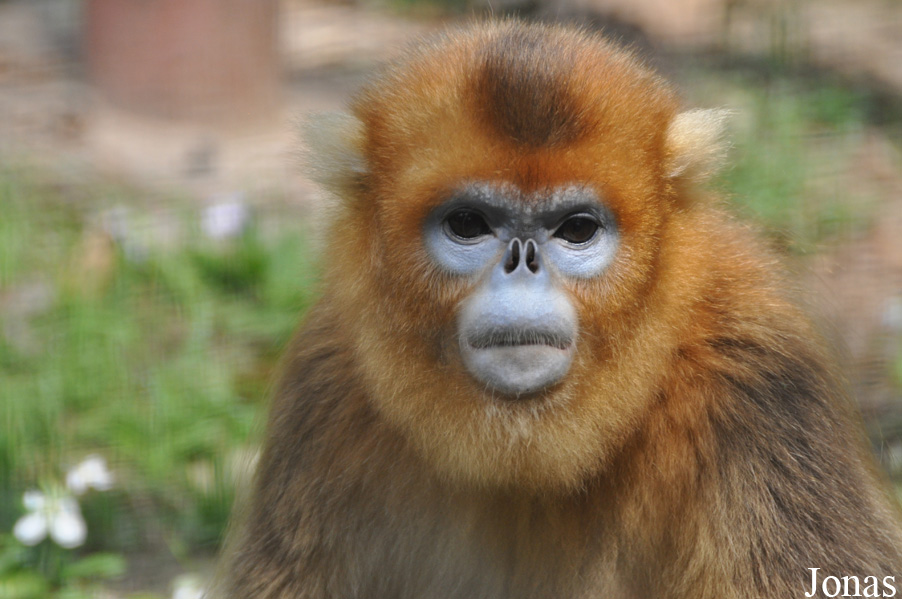 Beijing Zoological Gardens