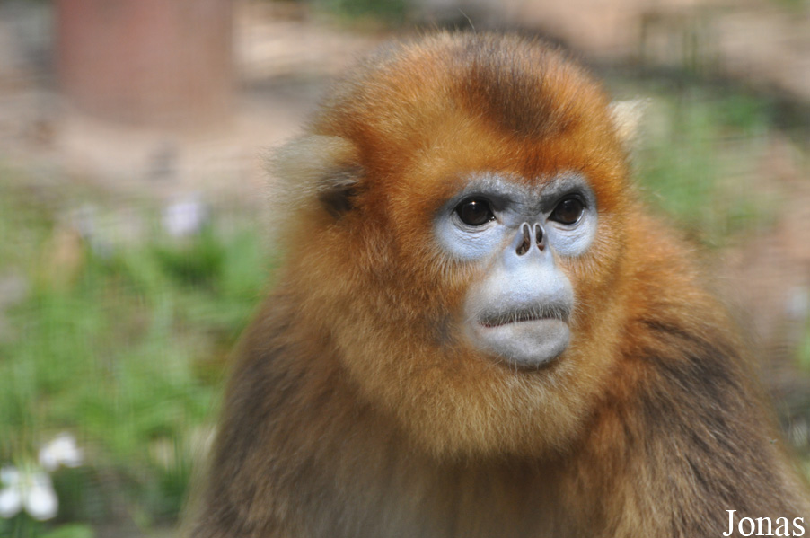 Beijing Zoological Gardens