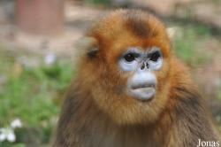 Beijing Zoological Gardens