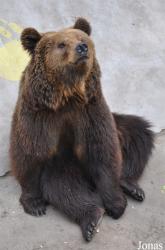 Beijing Zoological Gardens