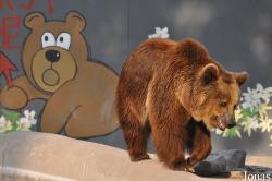 Beijing Zoological Gardens