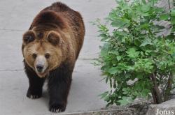 Beijing Zoological Gardens