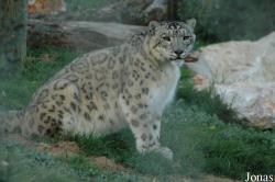 Jardim Zoológico de Lisboa
