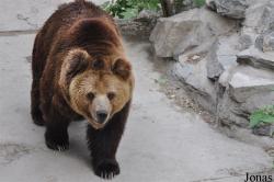 Beijing Zoological Gardens