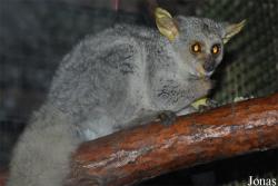 Beijing Zoological Gardens