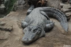 Beijing Zoological Gardens