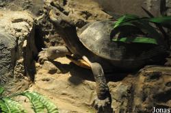 Beijing Zoological Gardens