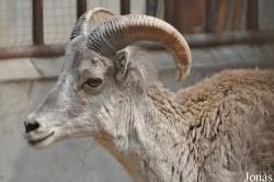 Beijing Zoological Gardens