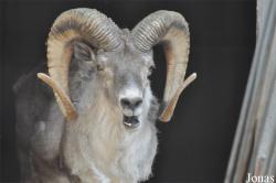 Beijing Zoological Gardens