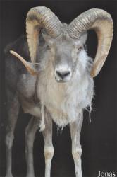 Beijing Zoological Gardens
