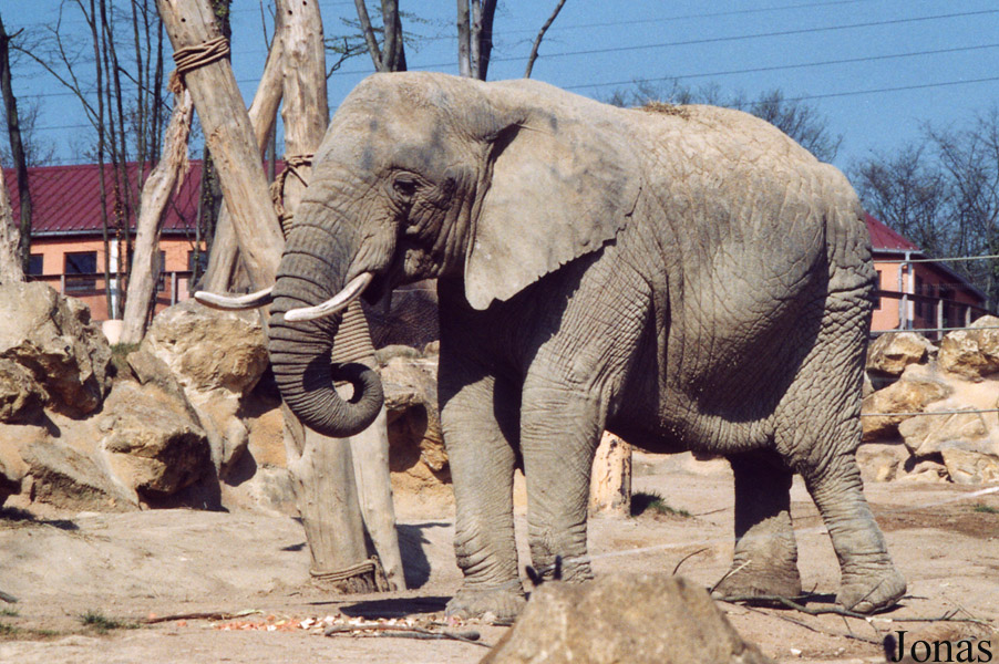 Zoo d'Amnéville