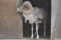 Beijing Zoological Gardens