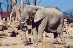 Zoo d'Amnéville