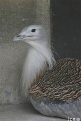 Beijing Zoological Gardens