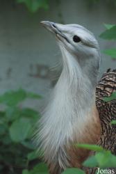 Beijing Zoological Gardens