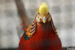 Beijing Zoological Gardens