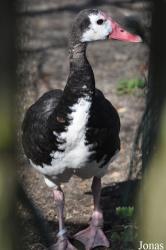 Zoo Leipzig