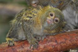 Zoo Leipzig