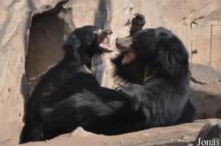 Zoo Leipzig