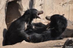 Zoo Leipzig
