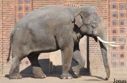 Zoo Leipzig